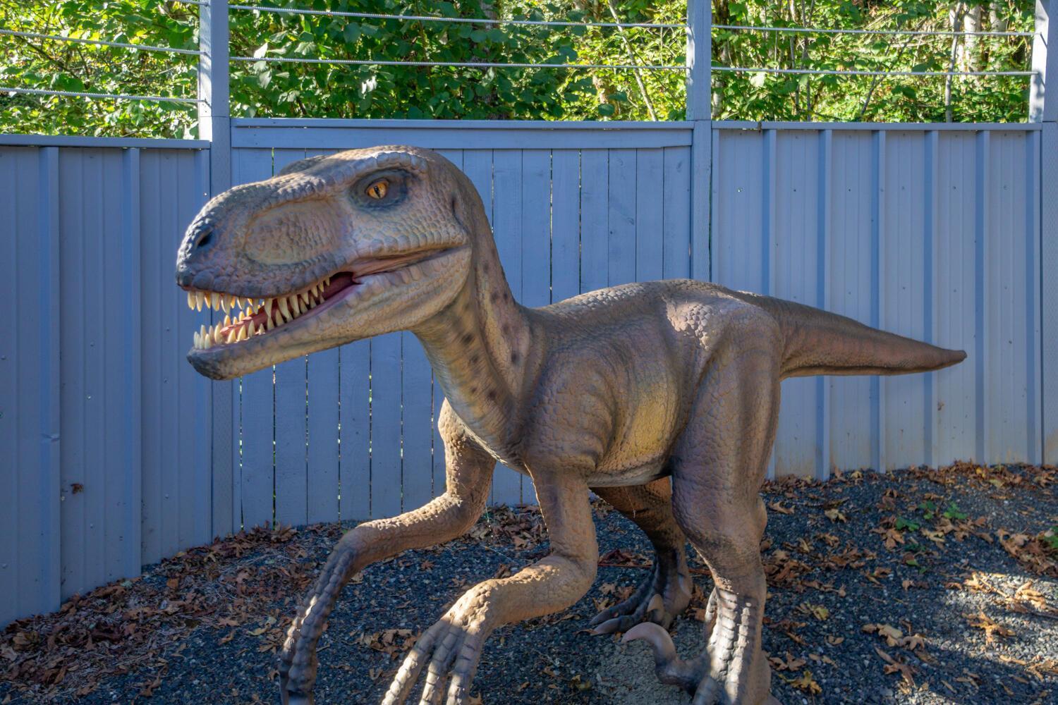 Washougal Jurassic Rebirth Out On Jul 2 - Book Your Stay Now (Adults Only) מראה חיצוני תמונה